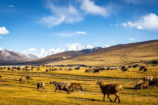 Kyrgyzstan mountain landscape
